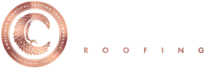 Roof Leak Repair & Ice Dam Removal in Chicago | Conrad Roofing