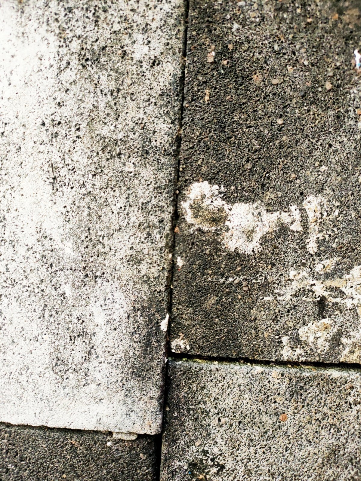 Conrad Roofing - Granule Loss