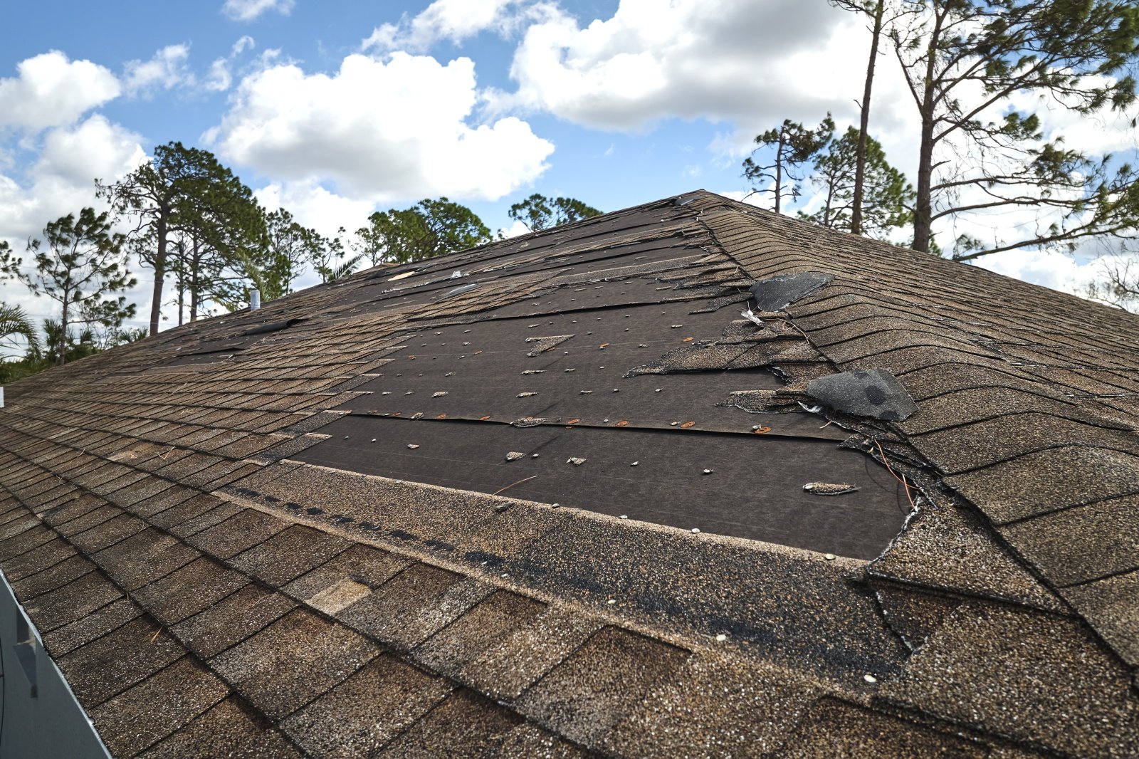 Conrad Roofing - Missing Shingles